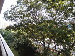 Blk 643 Jurong West Street 61 (Jurong West), HDB 4 Rooms #183077312